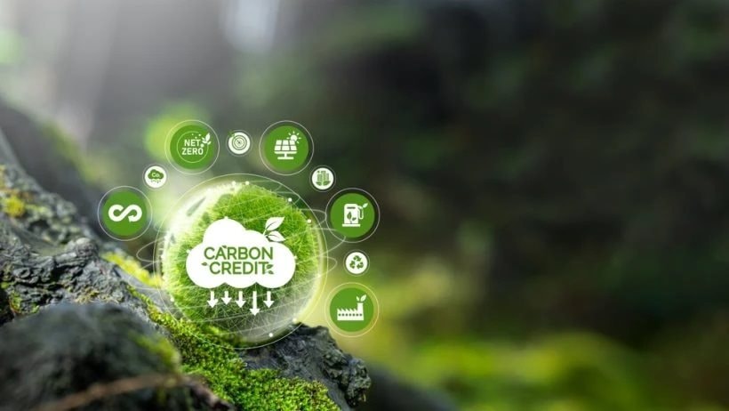 carbon-3592.jpg