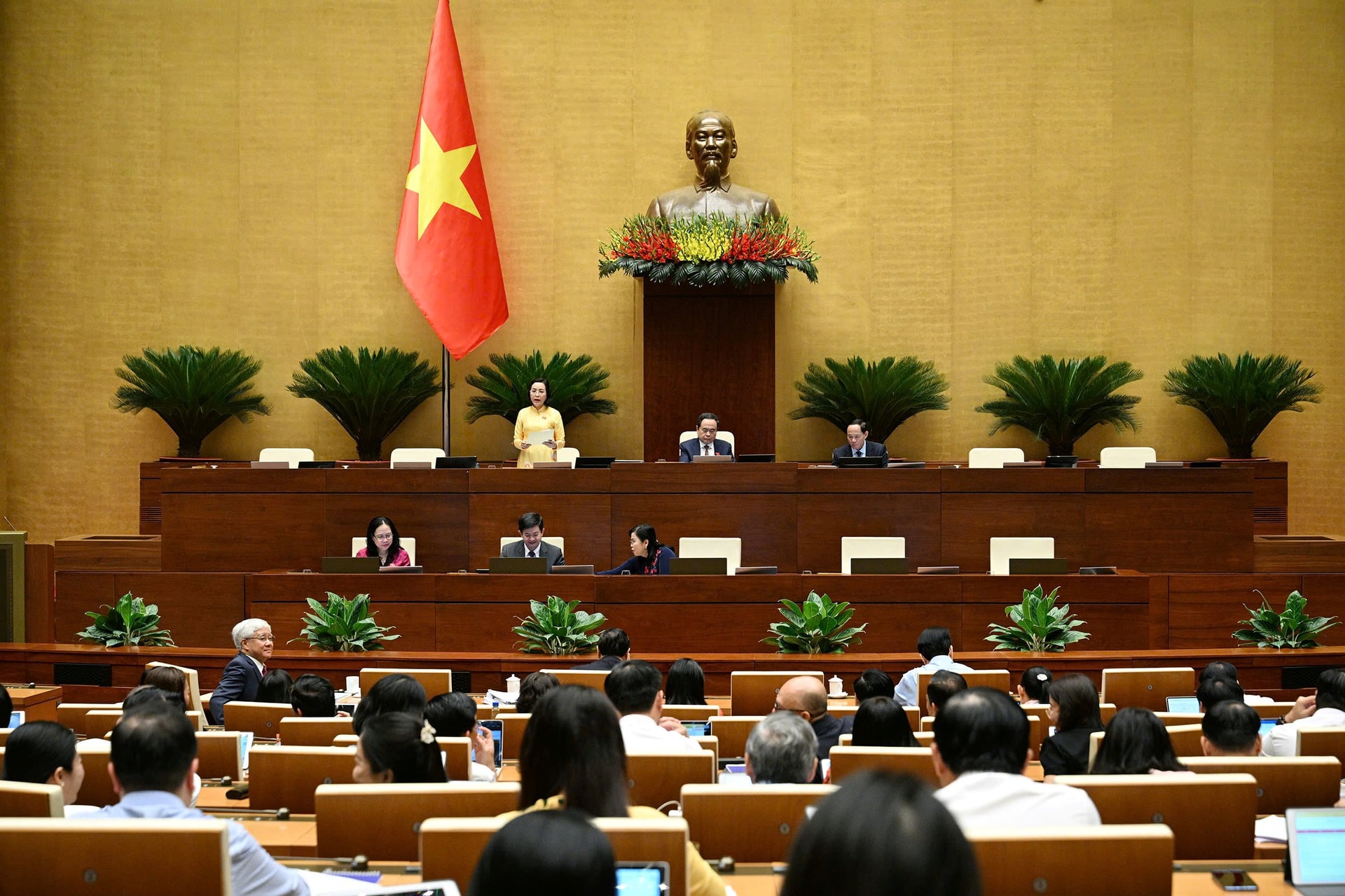 22-qh.jpg