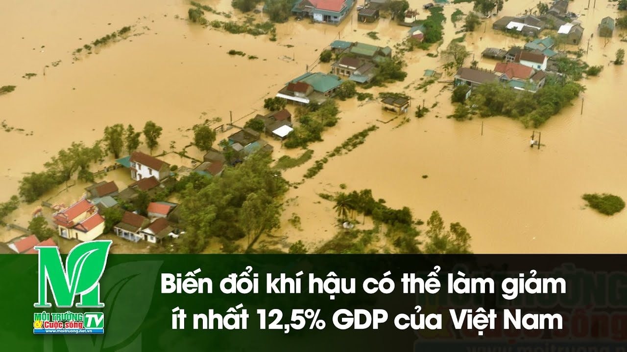 [VIDEO] Biến đổi khí hậu có thể làm giảm ít nhất 12,5% GDP của Việt Nam 