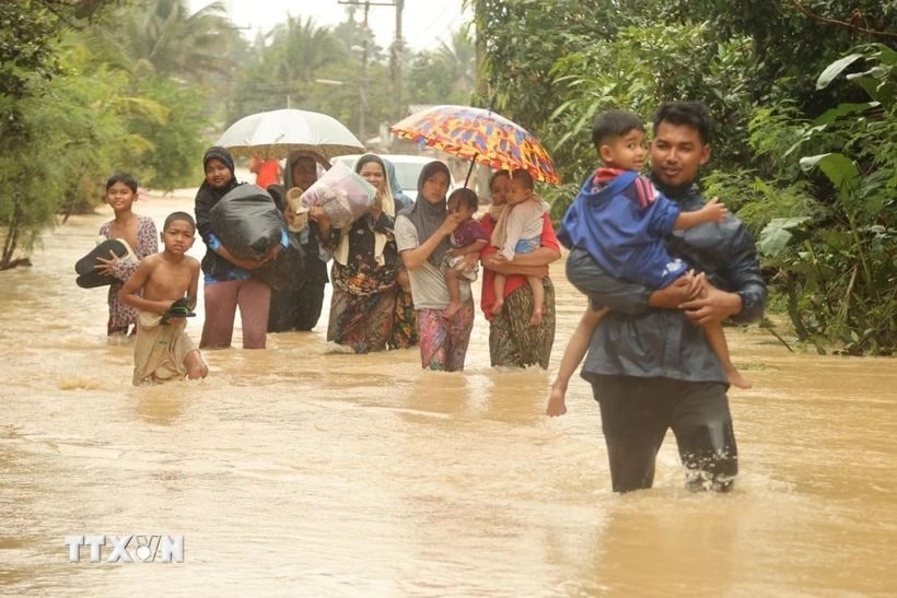 thai-lan.jpg
