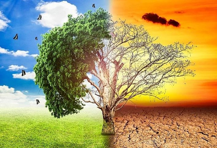 Cần tạo điều kiện để tư nhân và cộng đồng đầu tư vào thích ứng khí hậu 
