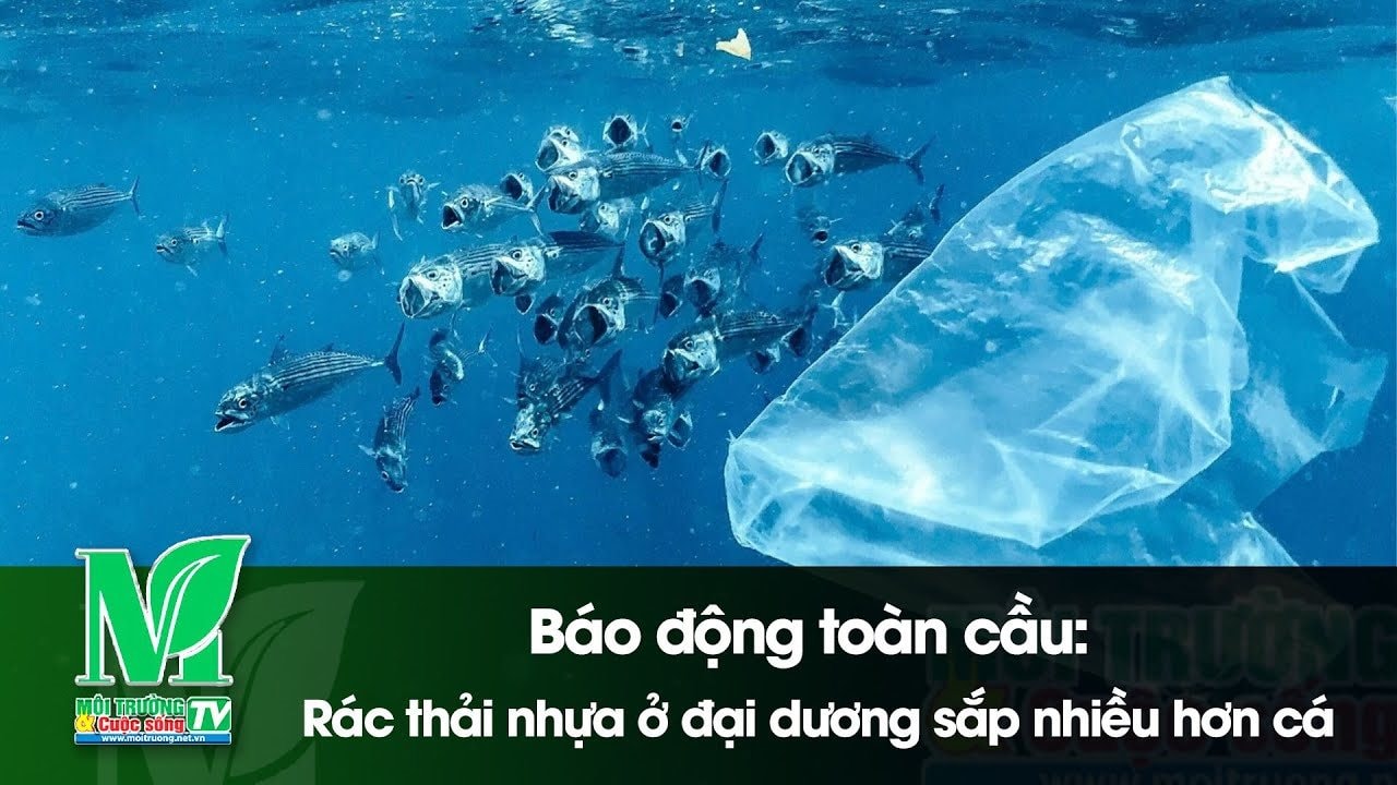 [VIDEO] Báo động toàn cầu: Rác thải nhựa ở đại dương sắp nhiều hơn cá 