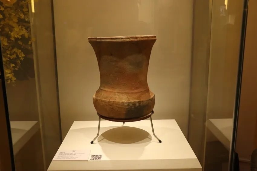 bao-vat-quoc-gia10-1878-549.jpg