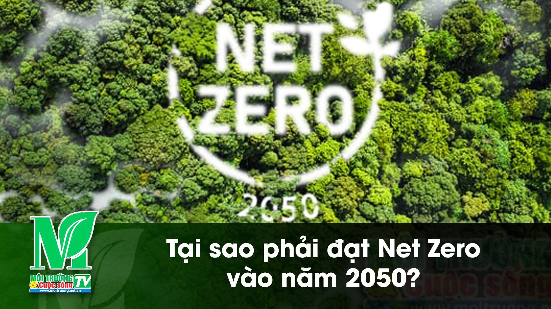 [VIDEO] Tại sao phải đạt Net Zero vào năm 2050? 