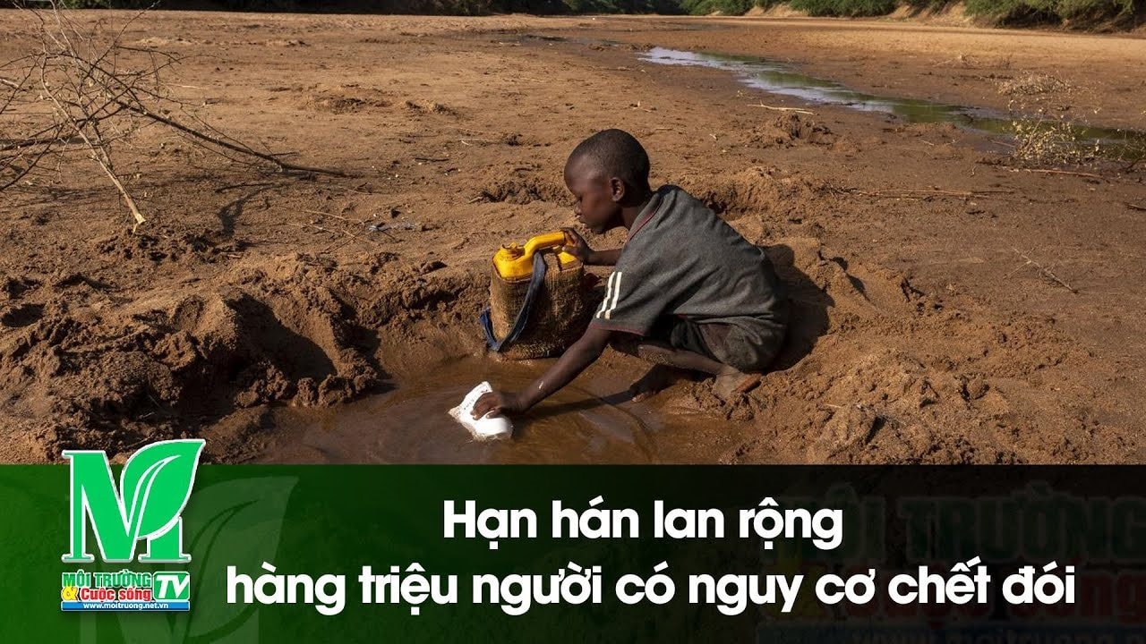 [VIDEO] Hạn hán lan rộng, hàng triệu người có nguy cơ chết đói 