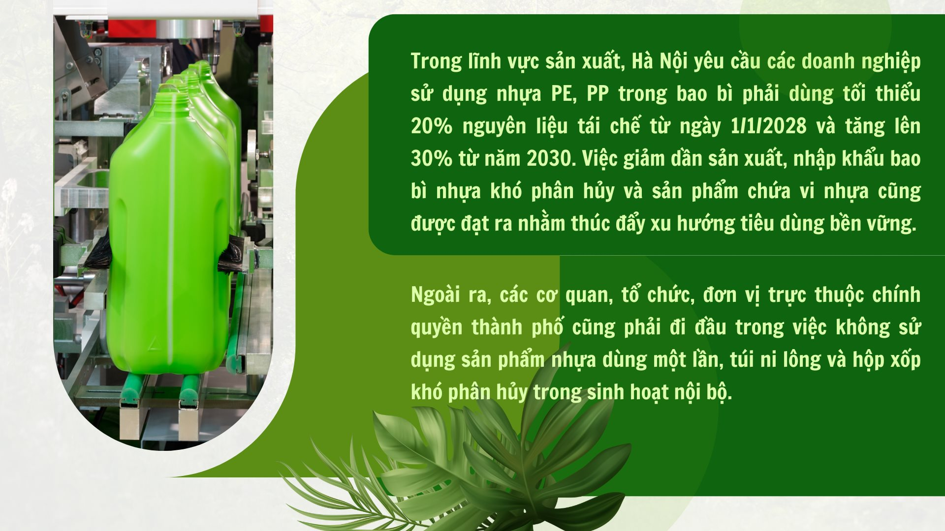 green-and-white-modern-nature-reserve-presentation-2-.png