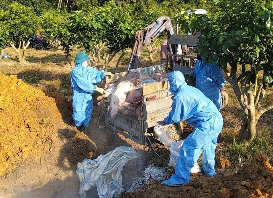 tuyen-quang.jpg