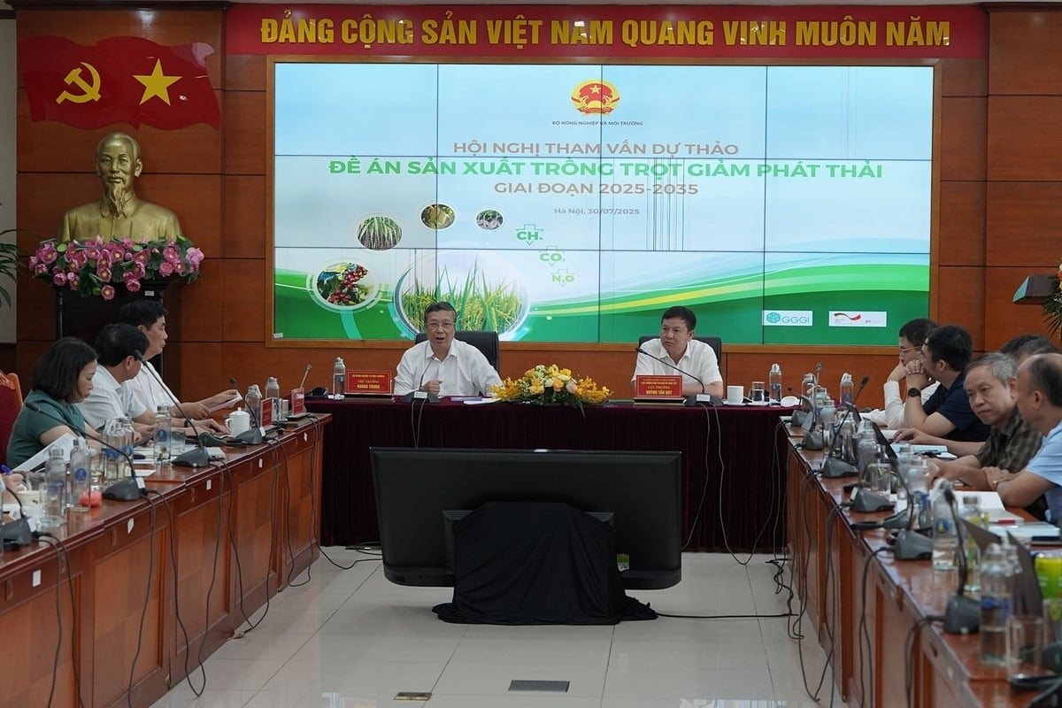 xay-dung-chien-luoc-trong-trot-giam-phat-thai-quy-mo-quoc-gia-112253_588-163310.jpg