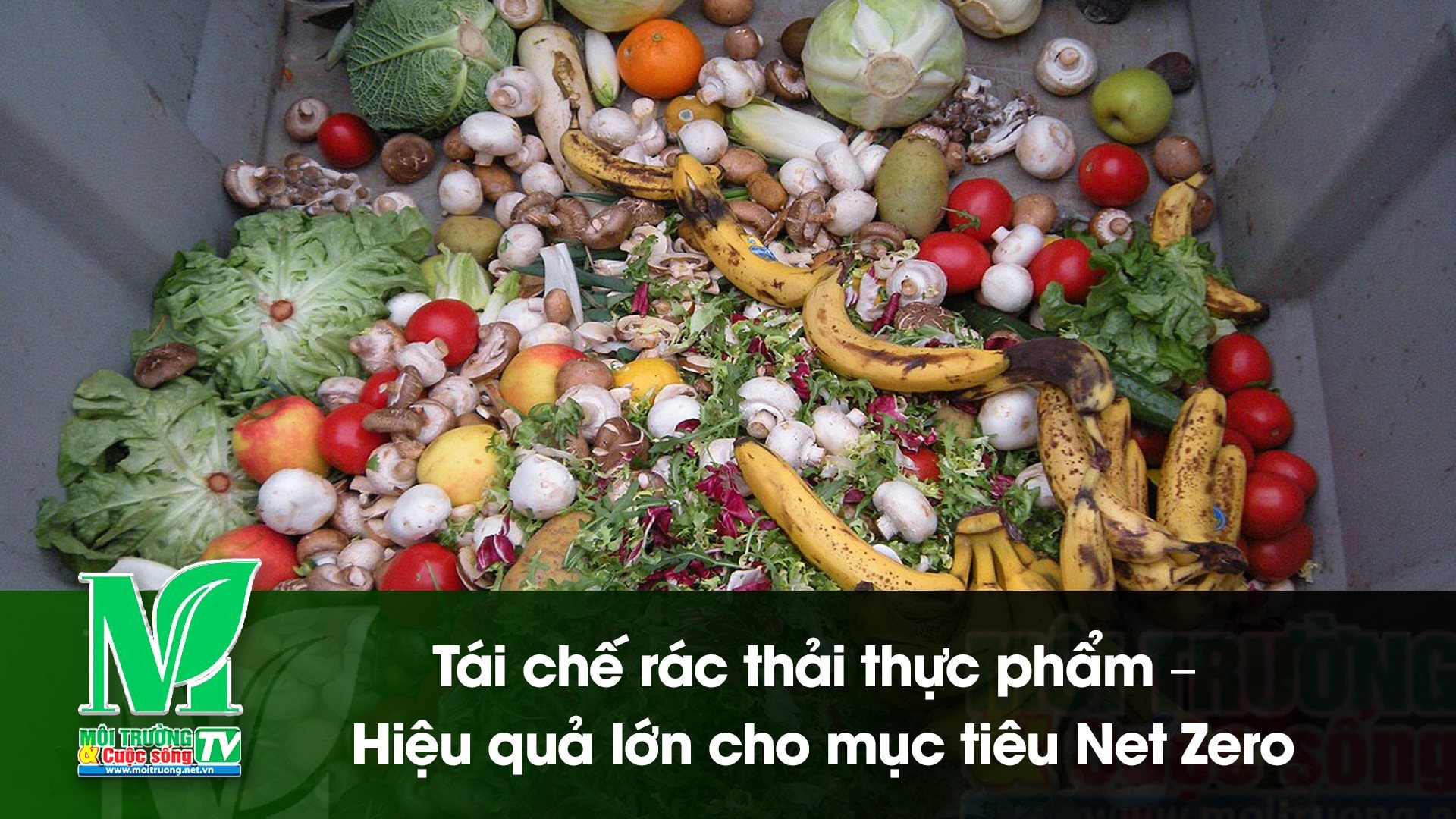 [VIDEO] Tái chế rác thải thực phẩm – Hiệu quả lớn cho mục tiêu Net Zero 
