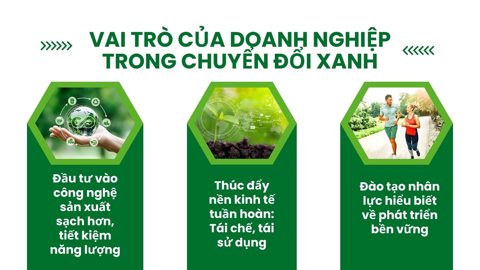 tang-truong-xanh-5-.jpg