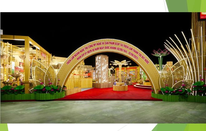 nmt1.png