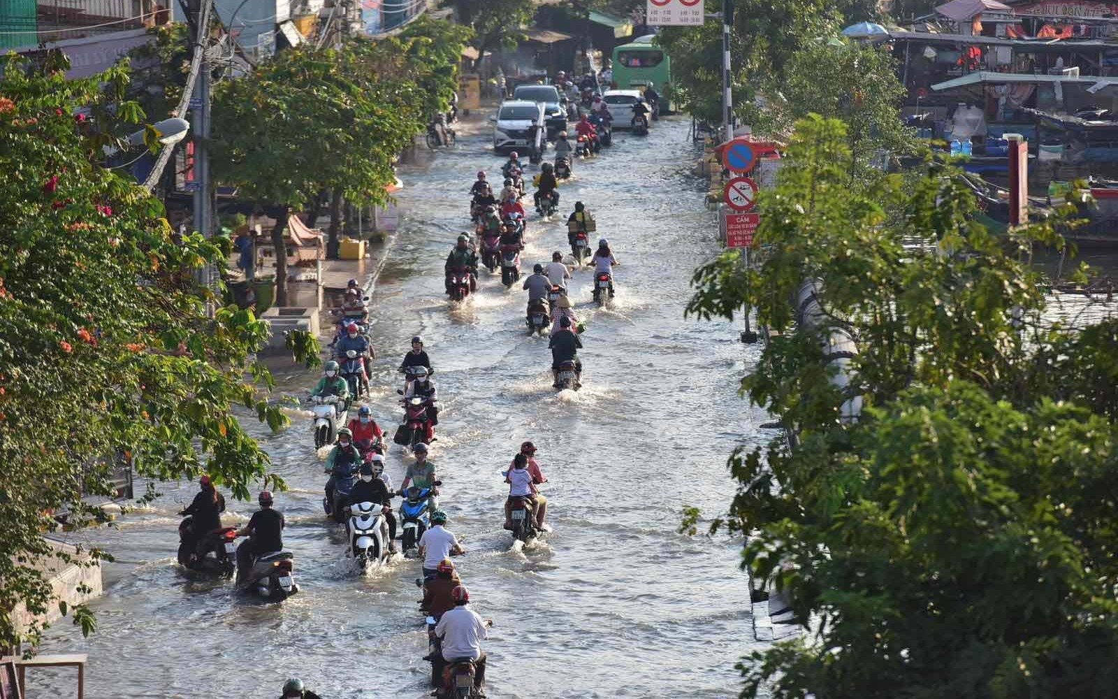 trieu-cuong.jpg