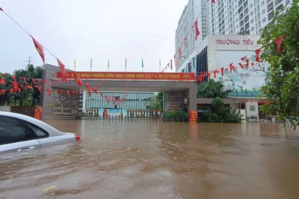 tieu-hoc-dong-ngac.jpg