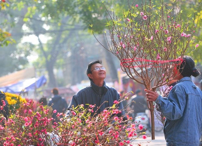 cho-hoa-tet-68e918b540be8-1760363212.jpg