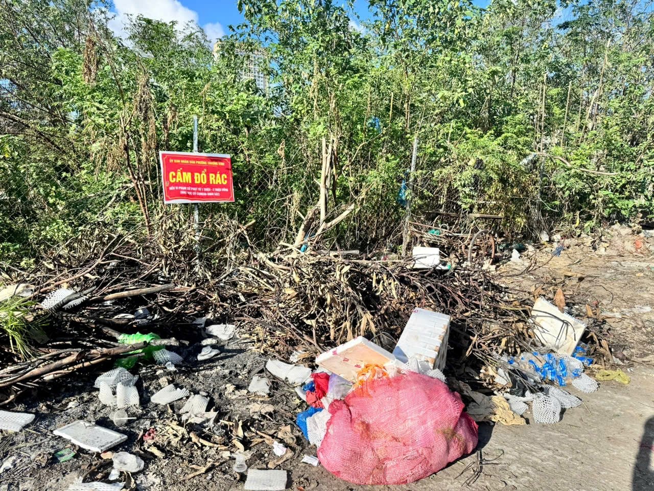 rac-duoi-bien-cam1.jpg2.jpg