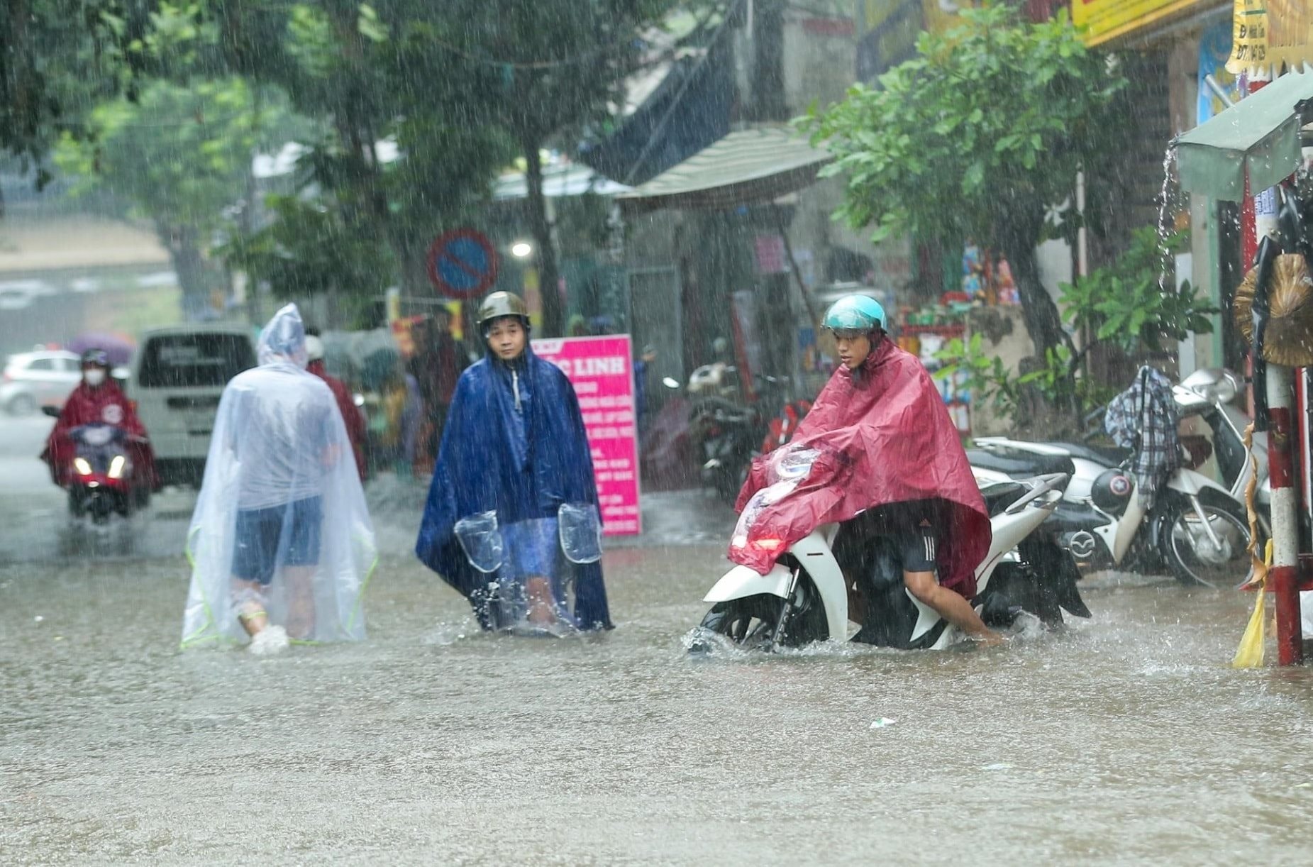 cdn-i.vtcnews.vn-upload-2025-10-11-_anh-tri-mua-6-avar-09202141.jpg