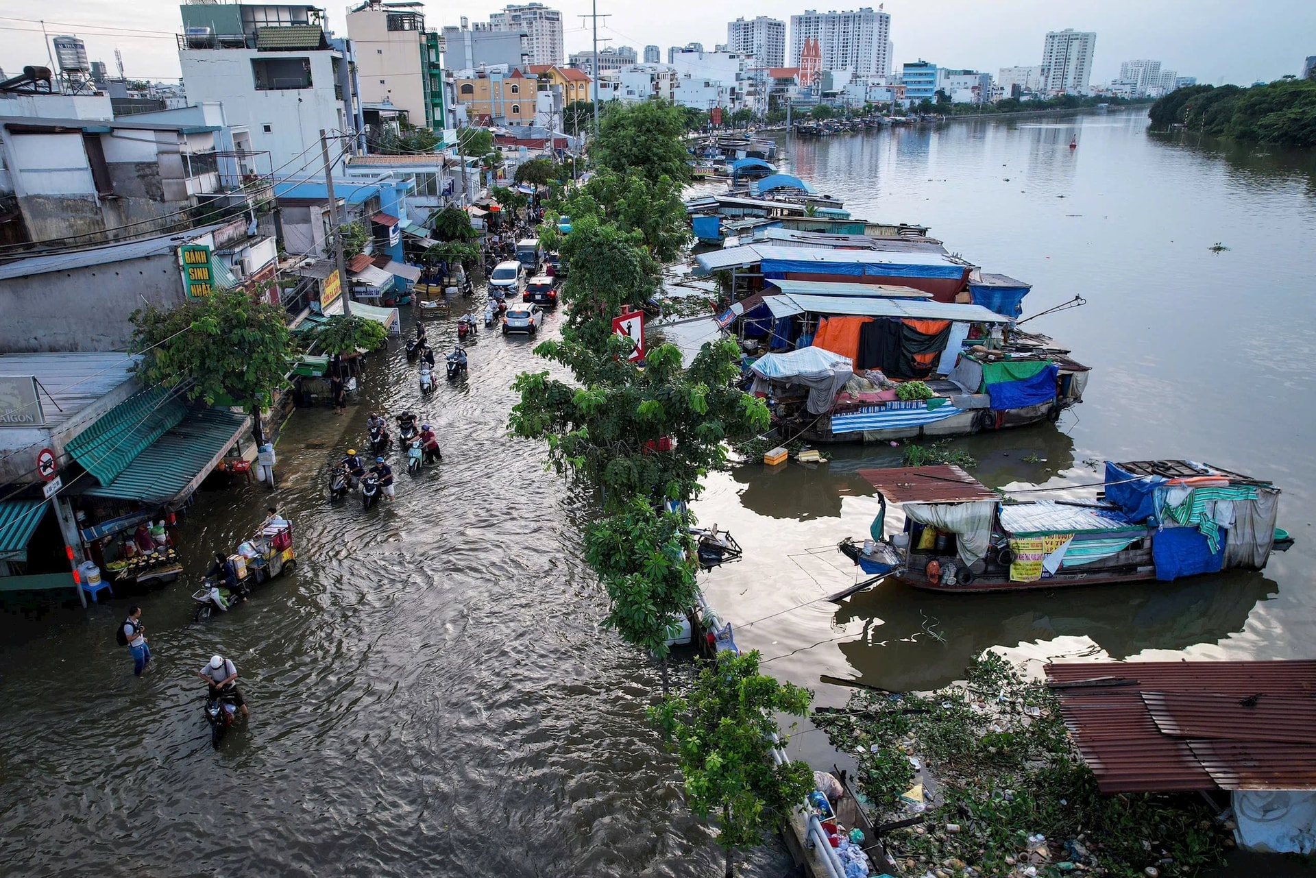 trieu-cuong.jpg