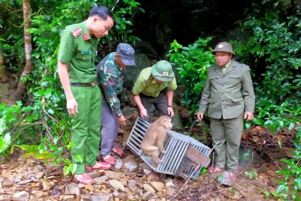 quang-tri.jpg