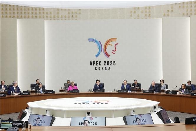 apec.jpg