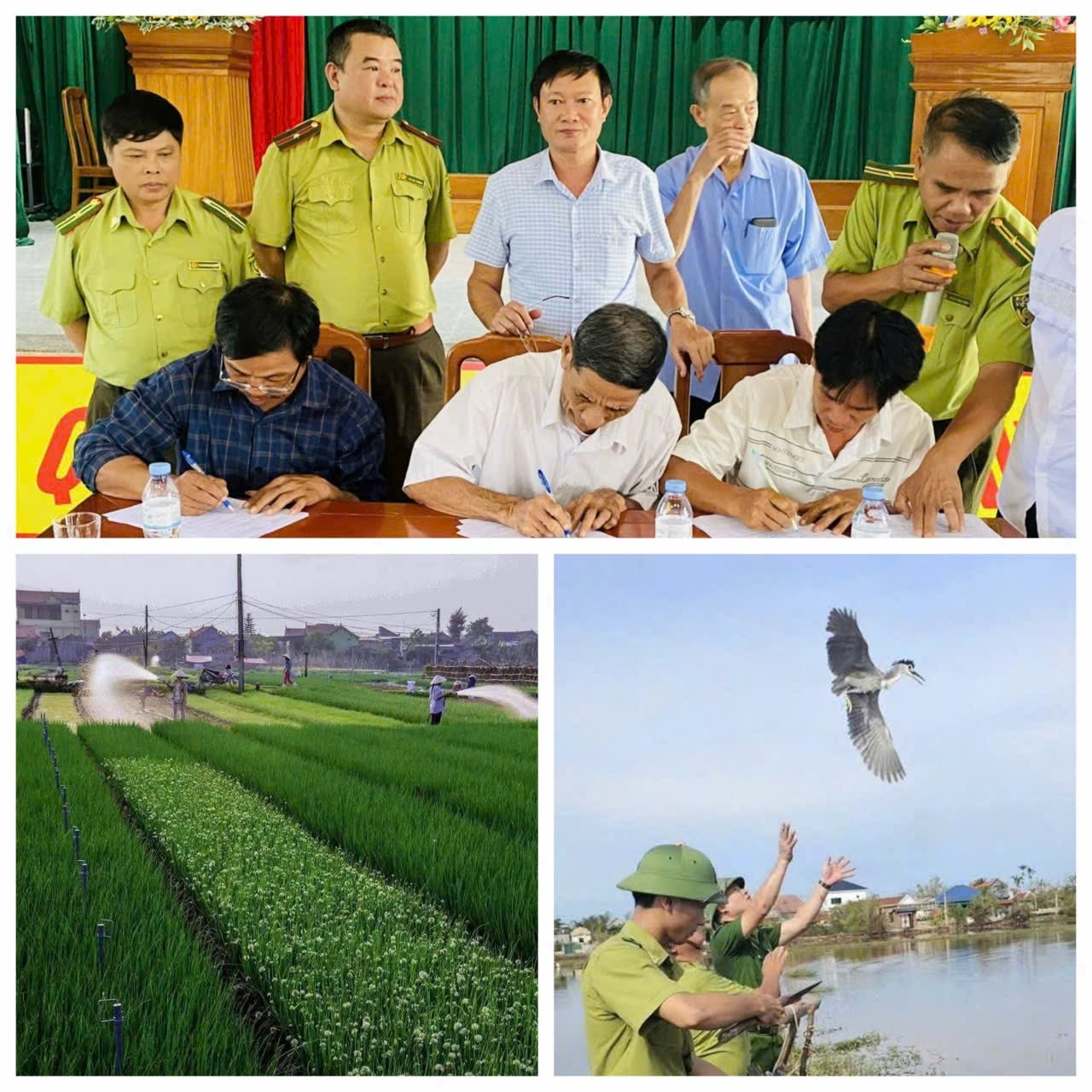 Kỳ 3: Xóa bỏ bẫy chim, thay đổi sinh kế giúp cân bằng hệ sinh thái 