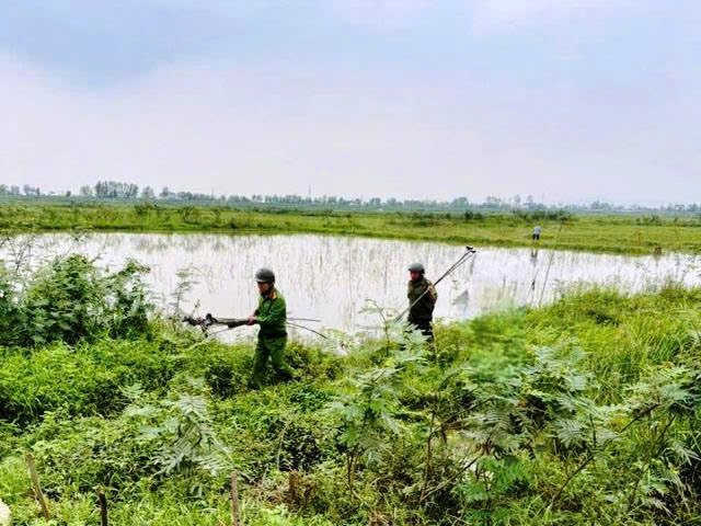 Nghệ An thành lập Ban Chỉ đạo tuyên truyền, đấu tranh, xử lý vi phạm về động vật hoang dã 