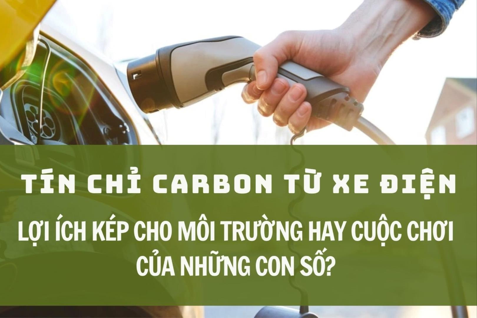 Tín chỉ carbon từ xe điện: Lợi ích kép cho môi trường hay cuộc chơi của những con số? 