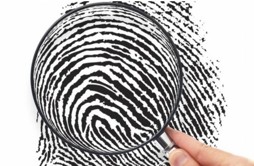 Nam Phi: Lá dứa phế thải trở thành giải pháp xử lý ô nhiễm và điều tra vân tay 