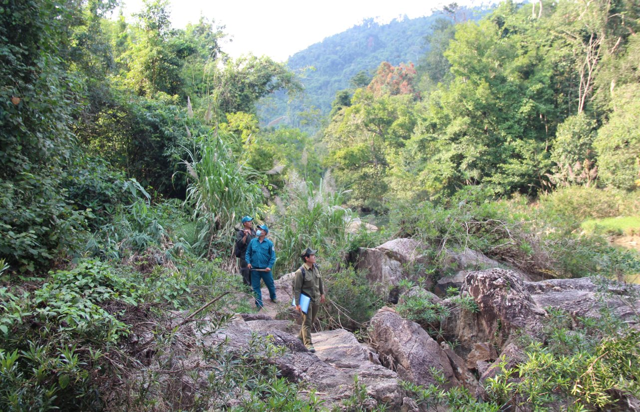 Khánh Hòa quyết liệt triển khai điều tra rừng sau sắp xếp đơn vị hành chính 