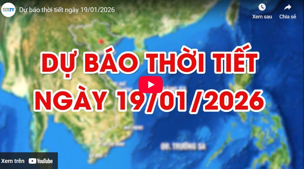 Dự báo thời tiết ngày 19/01/2026: Gió nhẹ, đêm và sáng sớm trời rét 