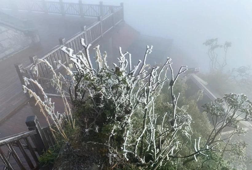 Các địa phương chủ động ứng phó rét đậm, rét hại và gió mạnh trên biển 