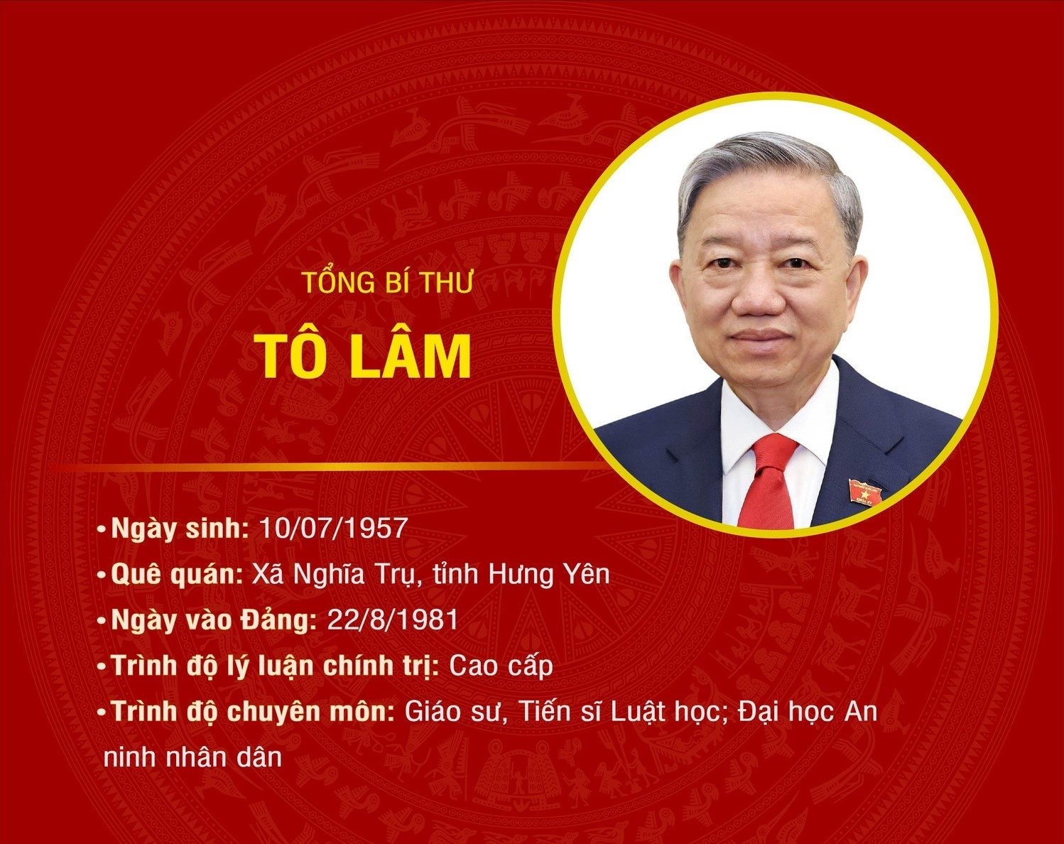 [Infographic] Tiểu sử đồng chí Tô Lâm, Tổng Bí thư Ban Chấp hành Trung ương Đảng Cộng sản Việt Nam khóa XIV 