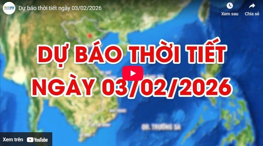 Dự báo thời tiết ngày 03/02/2026: Bắc Bộ và Bắc Trung Bộ rét, nhiều nơi có sương mù 