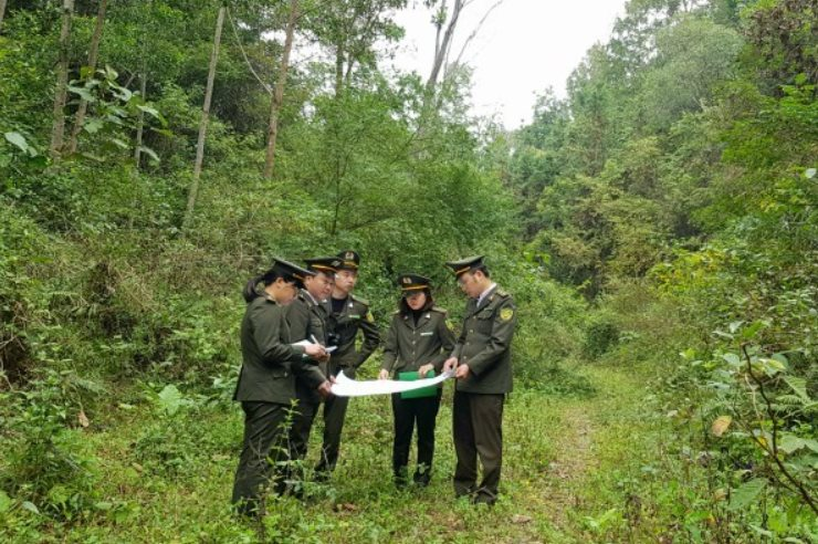Cao Bằng: Tăng cường công tác bảo vệ và phòng cháy, chữa cháy rừng trước, trong và sau Tết 