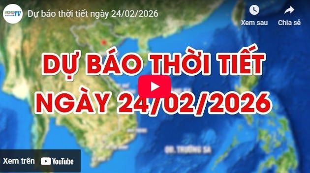 Dự báo thời tiết ngày 24/02/2026: Mưa phùn và sương mù rải rác