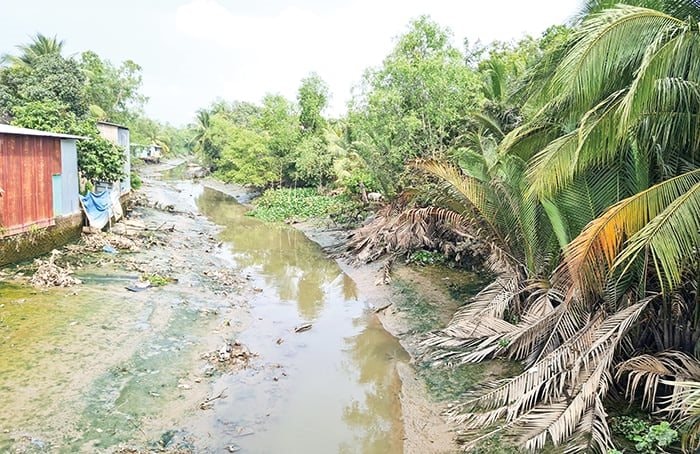 Tăng cường ứng phó xâm nhập mặn tại Đồng bằng sông Cửu Long