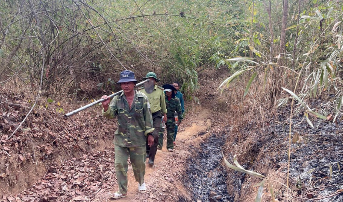 TPHCM siết chặt công tác bảo vệ rừng, chủ động phòng cháy rừng mùa khô 