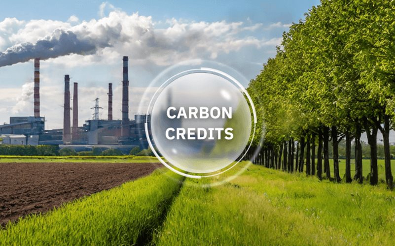 Bộ NN-MT thống nhất quản lý, cấp mã và số sê-ri hạn ngạch phát thải trên toàn quốc 