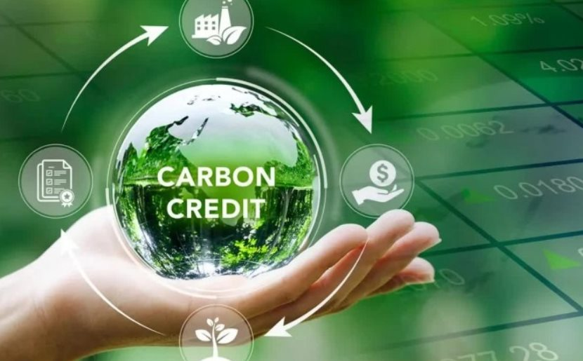Thị trường carbon toàn cầu bước vào giai đoạn vận hành với lô tín chỉ đầu tiên