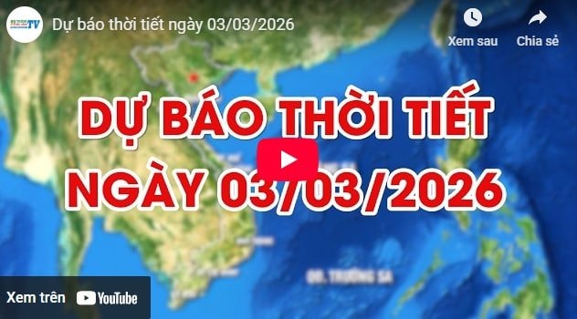 Dự báo thời tiết ngày 03/03/2026: Đêm và sáng có mưa 