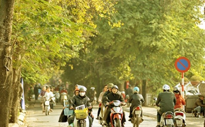 Miền Bắc trải qua mùa đông ấm kỷ lục