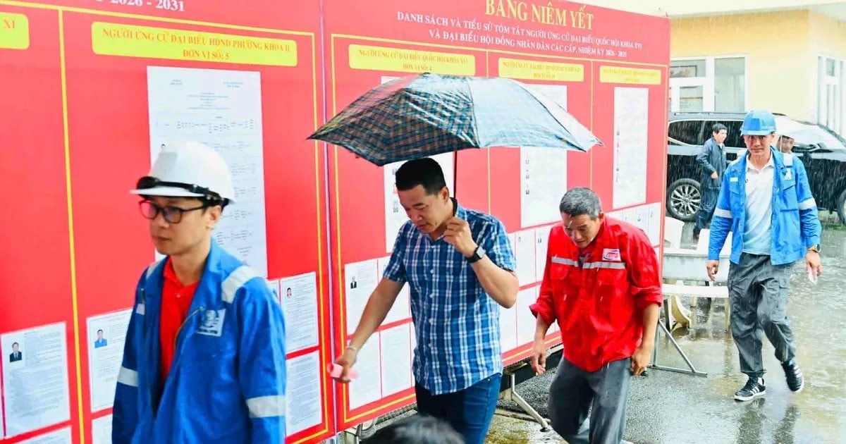 TPHCM kích hoạt phương án phòng, chống thiên tai, bảo đảm an toàn tuyệt đối cho bầu cử