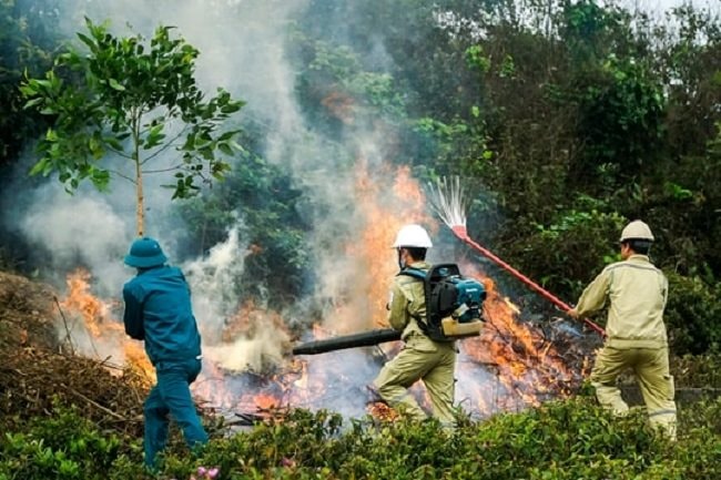 Đà Nẵng siết chặt trách nhiệm phòng cháy chữa cháy rừng ở cấp xã 