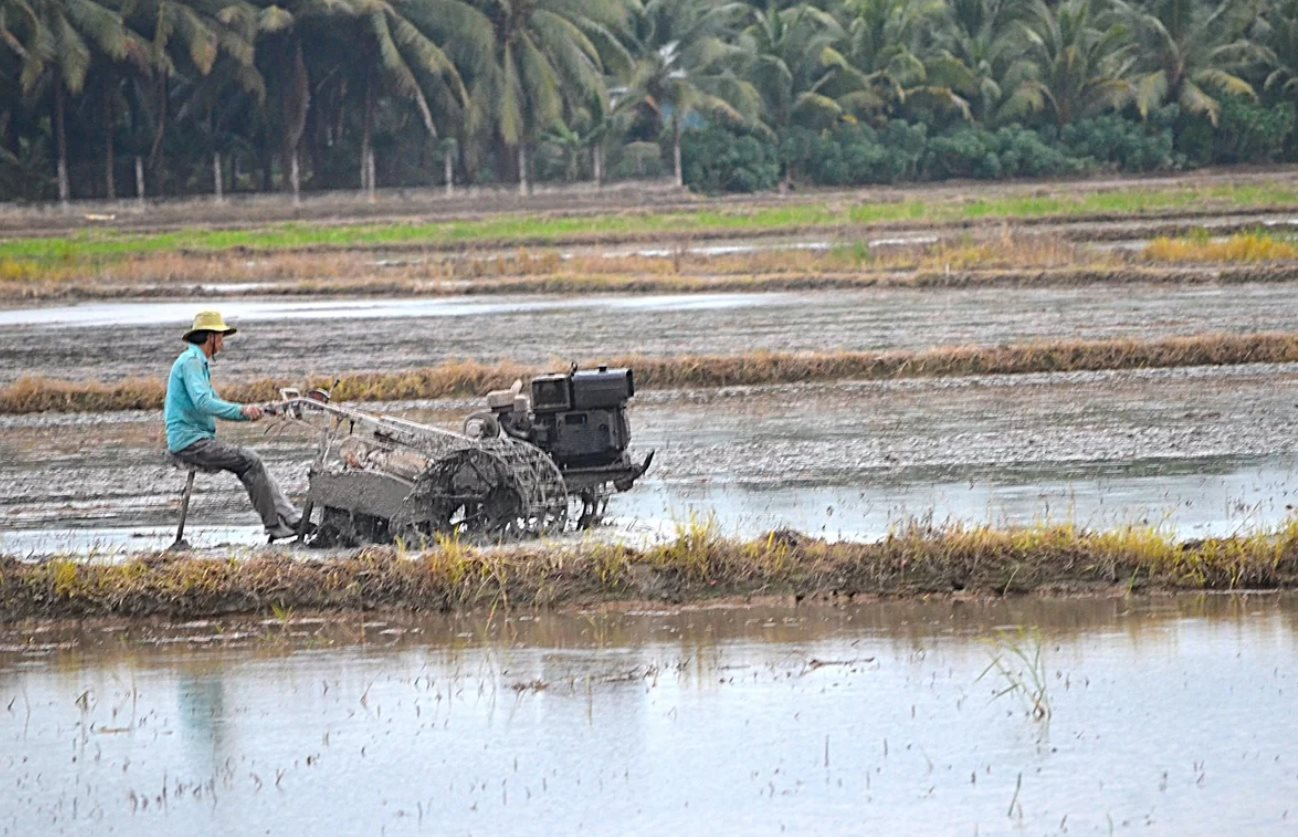 Ứng phó hạn mặn, Vĩnh Long tăng cường điều tiết nguồn nước phục vụ sản xuất nông nghiệp 