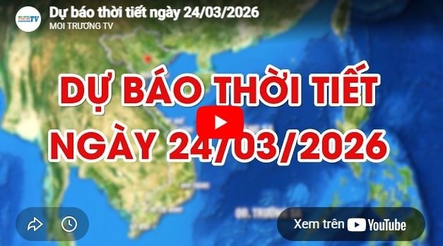 Dự báo thời tiết ngày 24/03/2026: Sáng có mưa nhỏ, trưa hửng nắng 