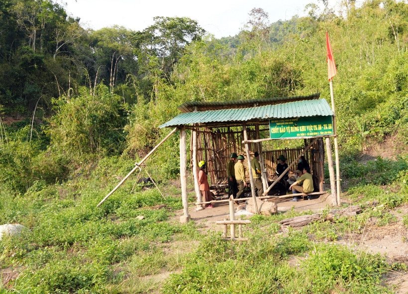 Một tuần xảy ra 10 vụ phá rừng, Lâm Đồng chỉ đạo xử lý nghiêm cán bộ vi phạm 