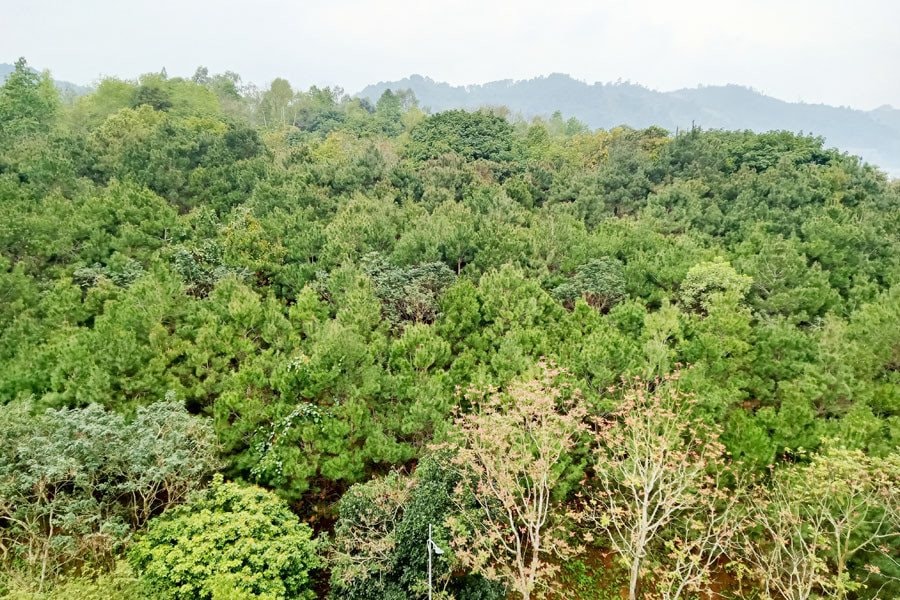 Việt Nam cán mốc 36 vườn quốc gia 