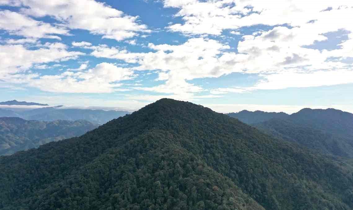 Gần 1900 tỷ đồng tài trợ cho Việt Nam để phát triển rừng miền Bắc