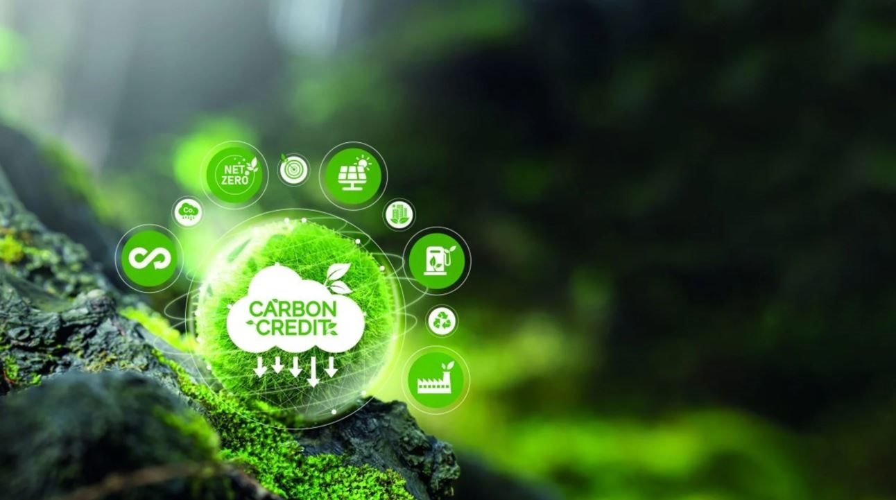 Việt Nam thiết lập khung pháp lý trao đổi tín chỉ carbon toàn cầu 