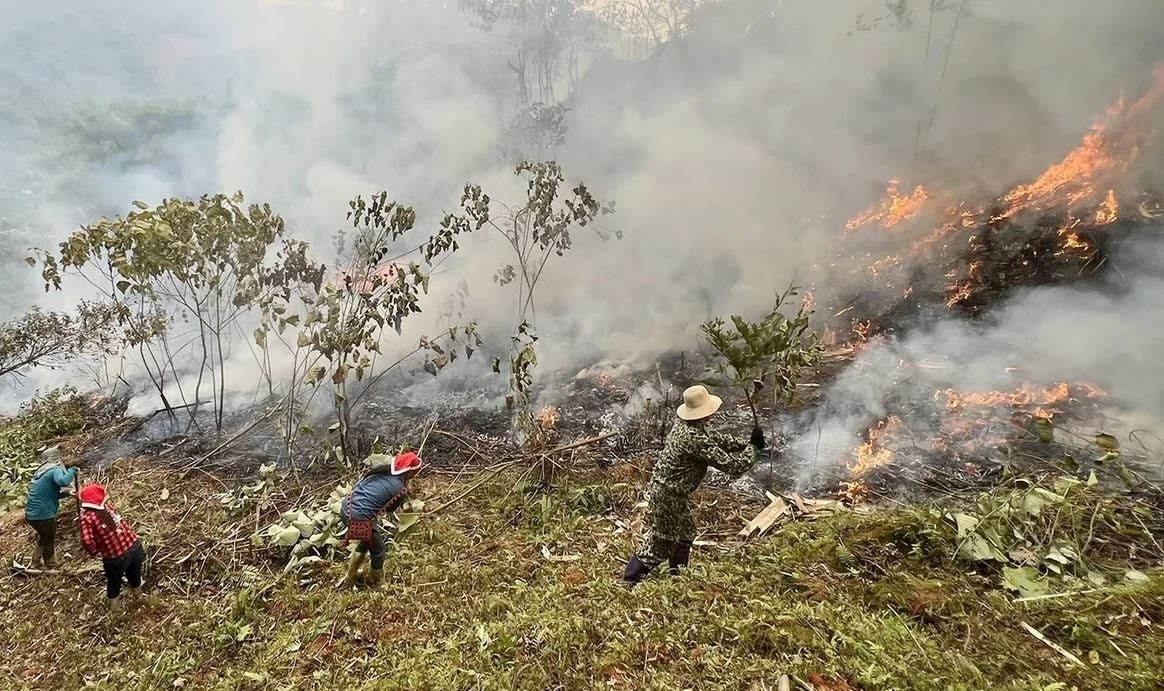 Siết chặt phòng cháy rừng tại Lào Cai trong cao điểm khô hạn 