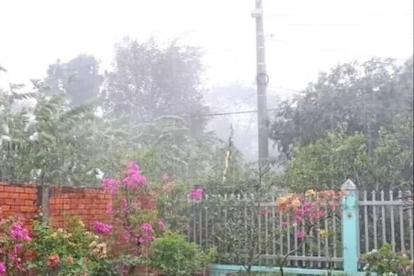 An Giang đón mưa sau nhiều tháng nắng nóng, gần 20.000ha rừng được “giải nhiệt” 